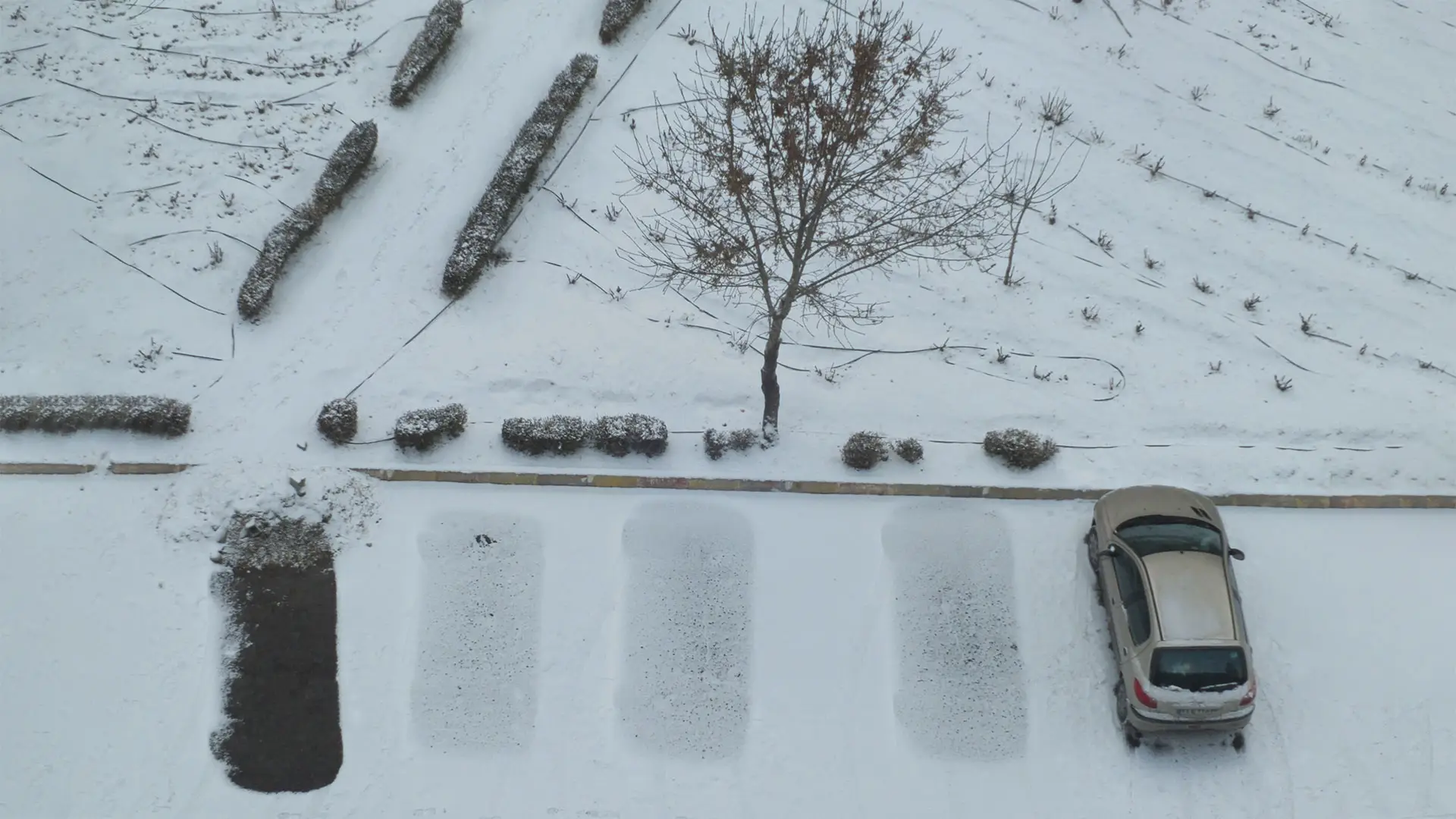 Tehran, a completely snowy day