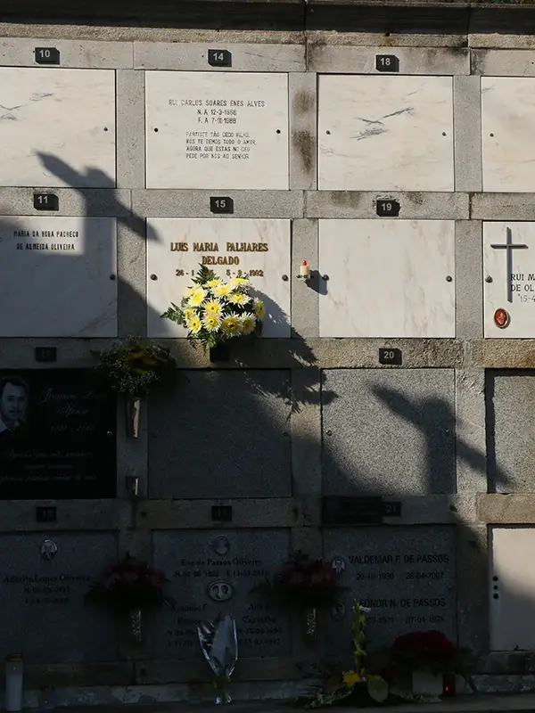 برادر ناتنی / Half-brother