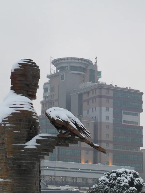 تهران، یک روز کاملا برفی / Tehran, a completely snowy day